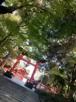 宇佐神宮の自然