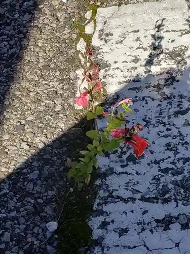 矢切神社の周辺