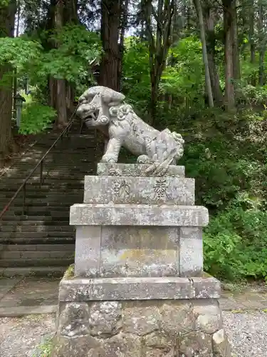 戸隠神社宝光社の狛犬