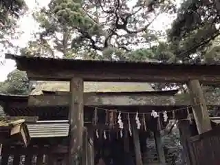 鹿島神宮の鳥居