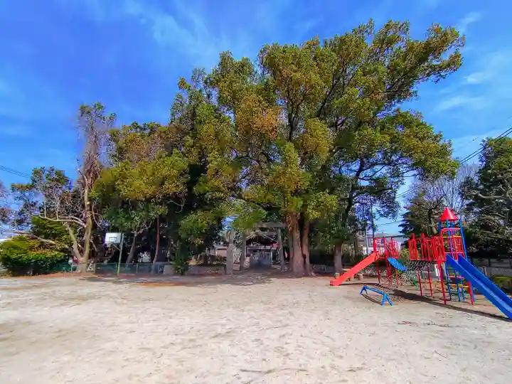 熱田社(稲荷町)の自然