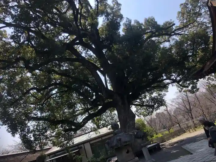 平野神社(京都府)