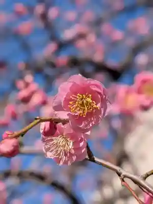 長円寺(東京都)