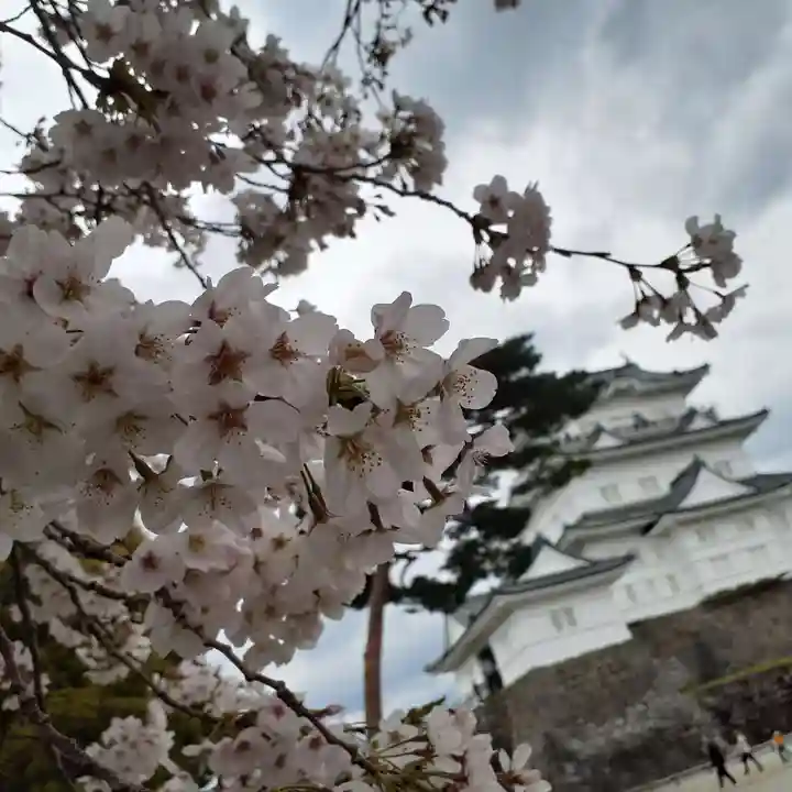 報徳二宮神社の周辺