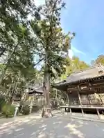 竹田神社(滋賀県)