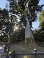 霧島神宮(鹿児島県)