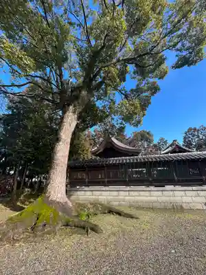 武道天神社のその他建物