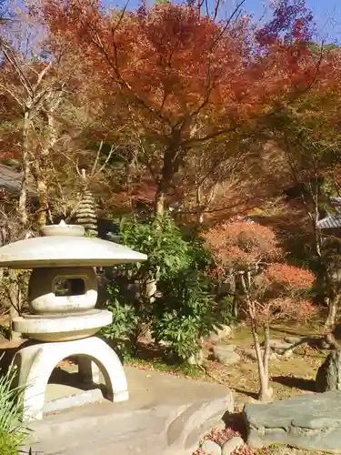 覚園寺の庭園