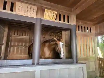 伊勢神宮内宮（皇大神宮）(三重県)