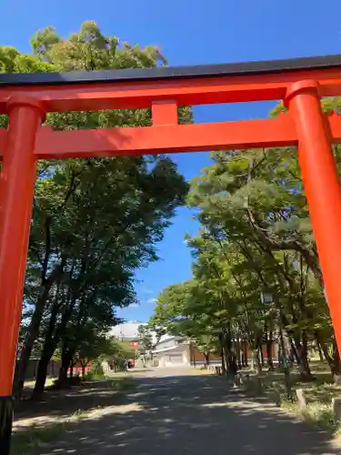 伏見稲荷大社 御旅所の鳥居