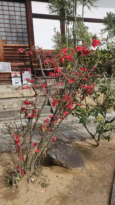 総見院(京都府)