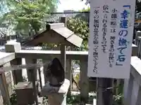 毛谷黒龍神社(福井県)