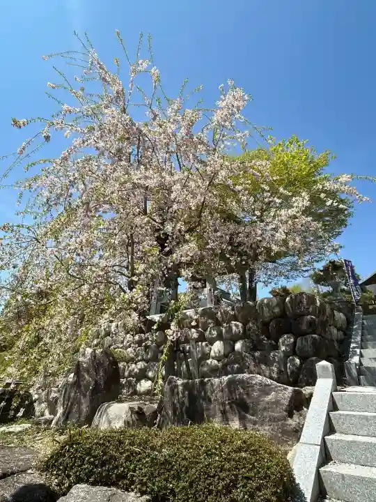 信濃比叡廣拯院(長野県)