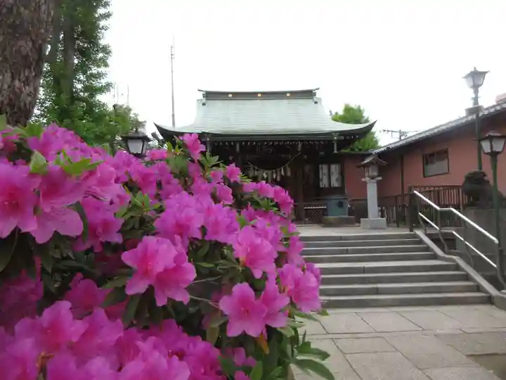 小村井 香取神社(東京都)