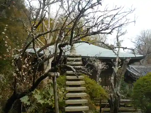 浄光明寺の自然