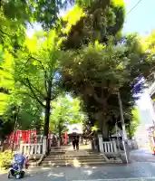鬼子母神堂 (法明寺)の{uncategorized: "未分類", other: "その他", undefined: "問題あり", building: "その他建物", grave: "お墓", sacred_gate: "鳥居", guardian: "狛犬", statue: "像", buddha: "仏像", history: "歴史", nature: "自然", garden: "庭園", animal: "動物", pagoda: "塔", temizu: "手水舎", mountain_gate: "山門・神門", sanctuary: "本殿・本堂", subordinate: "末社・摂社", art: "芸術", scenery: "景色", jizo: "地蔵", ema: "絵馬", goshuin: "御朱印", omikuji: "おみくじ", items: "授与品その他", amulet: "お守り", goshuincho: "御朱印帳", eats: "食事", festival: "お祭り", votive_dance: "神楽", shichigosan: "七五三参", wedding: "結婚式", experience: "体験その他", initially: "初詣", around: "周辺", anti_infection: "感染症対策"}