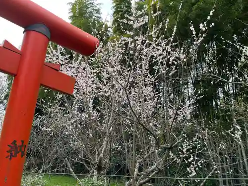 五所八幡宮(福岡県)