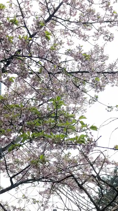 惠心院(京都府)
