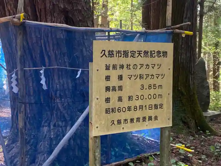 蒼前神社(岩手県)