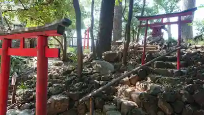 水稲荷神社の鳥居
