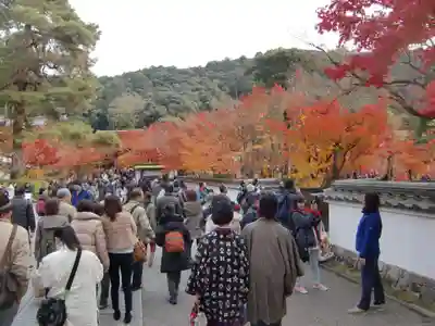 禅林寺(永観堂)(京都府)
