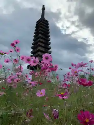 般若寺 ❁コスモス寺❁の像