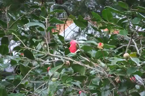 福仙寺(山口県)