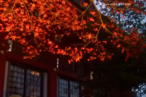 大山阿夫利神社(神奈川県)