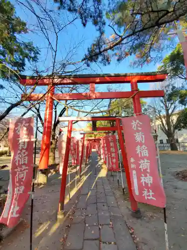 於菊稲荷神社の鳥居