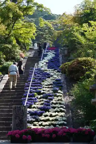 三室戸寺の庭園