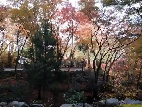 高山寺(京都府)
