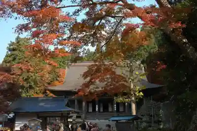 宝泉院の本殿・本堂