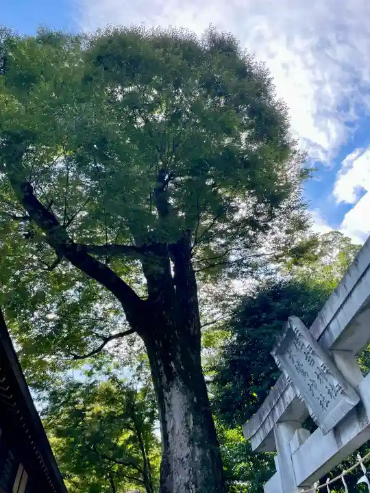 大國魂神社(東京都)