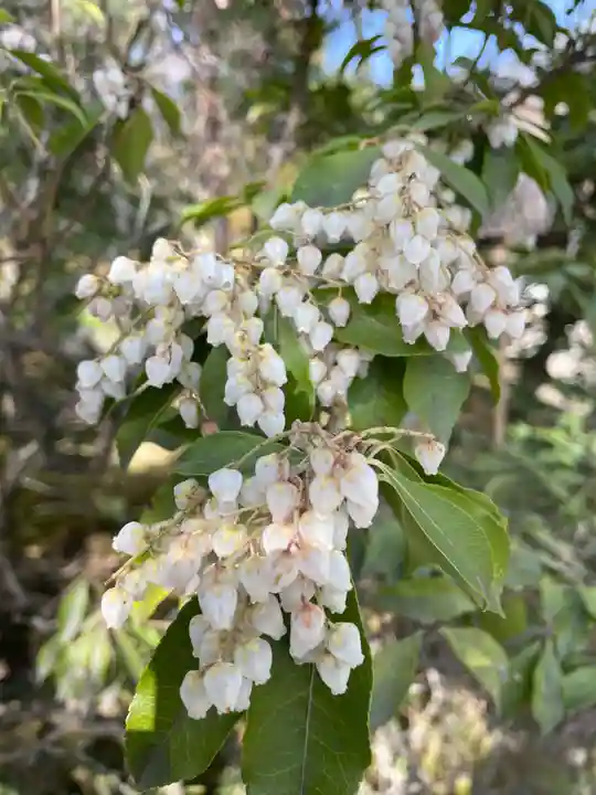 天龍寺(京都府)