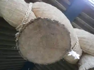 出雲大社(島根県)