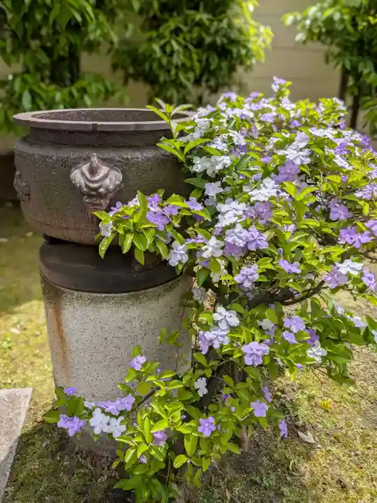 源空寺(東京都)