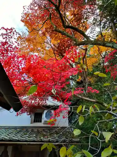 詩仙堂（丈山寺）の建物その他