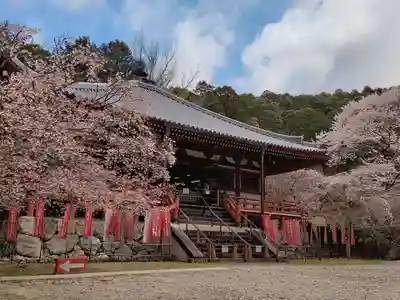 醍醐寺(京都府)