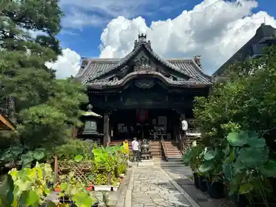 行願寺(革堂)の本殿・本堂