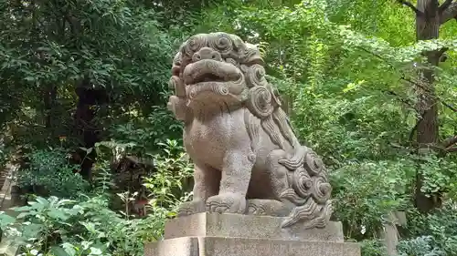 赤坂氷川神社の狛犬