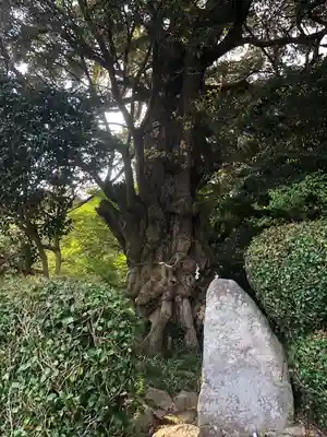 常宮神社(福井県)