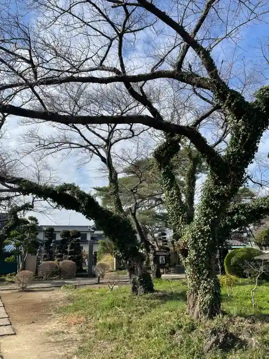最勝院の{uncategorized: "未分類", other: "その他", undefined: "問題あり", building: "その他建物", grave: "お墓", sacred_gate: "鳥居", guardian: "狛犬", statue: "像", buddha: "仏像", history: "歴史", nature: "自然", garden: "庭園", animal: "動物", pagoda: "塔", temizu: "手水舎", mountain_gate: "山門・神門", sanctuary: "本殿・本堂", subordinate: "末社・摂社", art: "芸術", scenery: "景色", jizo: "地蔵", ema: "絵馬", goshuin: "御朱印", omikuji: "おみくじ", items: "授与品その他", amulet: "お守り", goshuincho: "御朱印帳", eats: "食事", festival: "お祭り", votive_dance: "神楽", shichigosan: "七五三参", wedding: "結婚式", experience: "体験その他", initially: "初詣", around: "周辺", anti_infection: "感染症対策"}