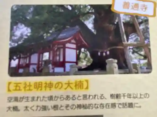 善通寺(香川県)