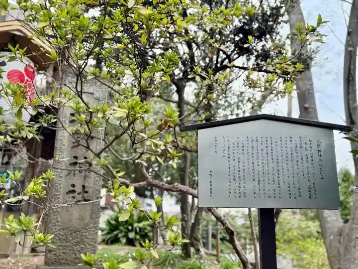 松が丘北野神社の{uncategorized: "未分類", other: "その他", undefined: "問題あり", building: "その他建物", grave: "お墓", sacred_gate: "鳥居", guardian: "狛犬", statue: "像", buddha: "仏像", history: "歴史", nature: "自然", garden: "庭園", animal: "動物", pagoda: "塔", temizu: "手水舎", mountain_gate: "山門・神門", sanctuary: "本殿・本堂", subordinate: "末社・摂社", art: "芸術", scenery: "景色", jizo: "地蔵", ema: "絵馬", goshuin: "御朱印", omikuji: "おみくじ", items: "授与品その他", amulet: "お守り", goshuincho: "御朱印帳", eats: "食事", festival: "お祭り", votive_dance: "神楽", shichigosan: "七五三参", wedding: "結婚式", experience: "体験その他", initially: "初詣", around: "周辺", anti_infection: "感染症対策"}