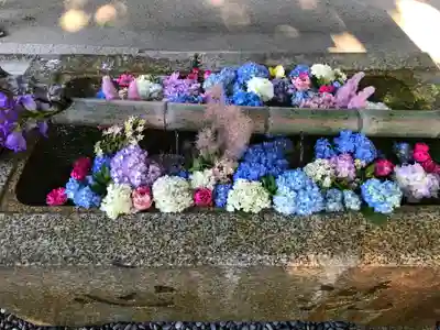 倶利迦羅不動寺山頂本堂の手水舎