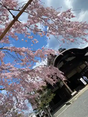三宝院（三宝院門跡）の自然