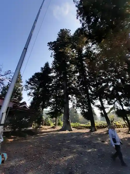 花室神社(茨城県)
