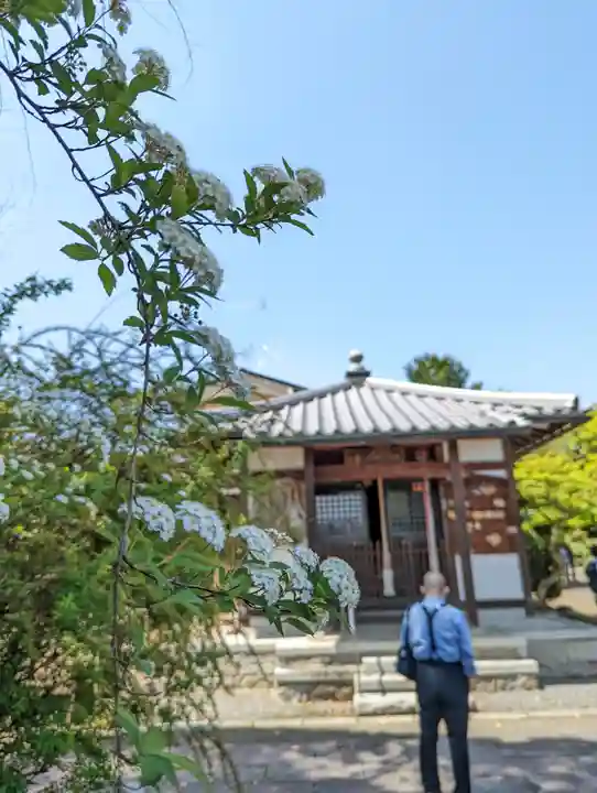 乙訓寺(京都府)