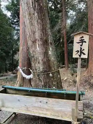 日吉大社(滋賀県)