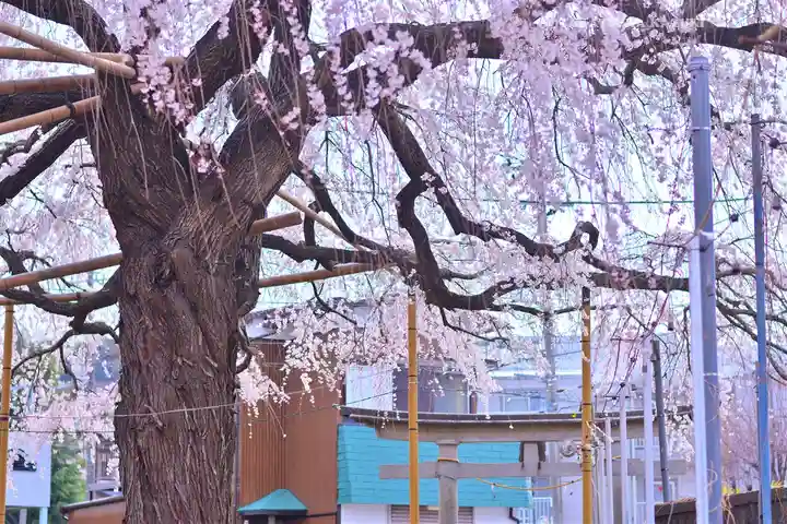 栗谷須賀神社(神奈川県)